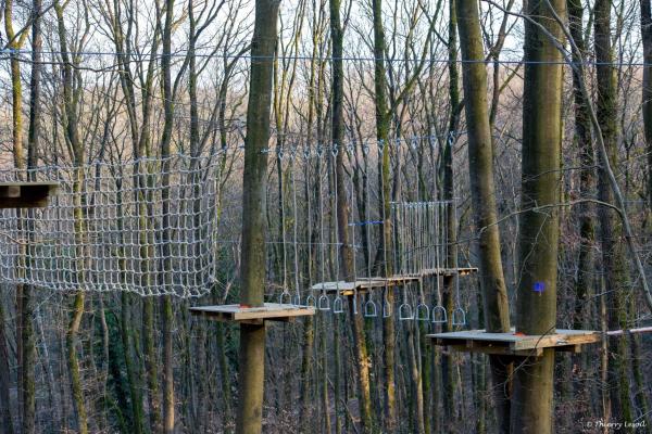 Arboreo - Accrobranche Charleroi est ouvert depuis ce samedi !