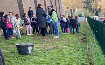 Des arbres fruitiers aux abords de lâ€™HÃ©lios.