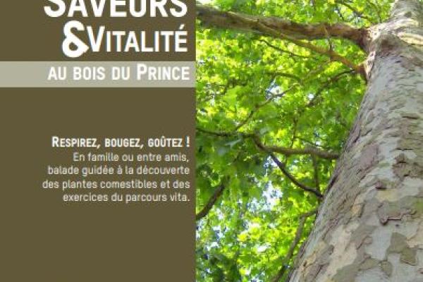 Journée « Saveurs et Vitalité » au Centre de loisirs.