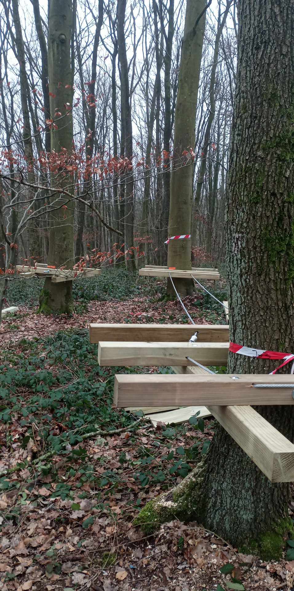 ACCROBRANCHE - Les travaux avancent bien !